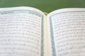 479984_538867942823734_703064978_n